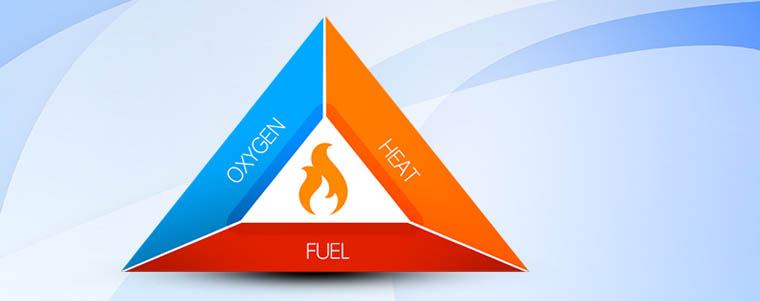 Agile group